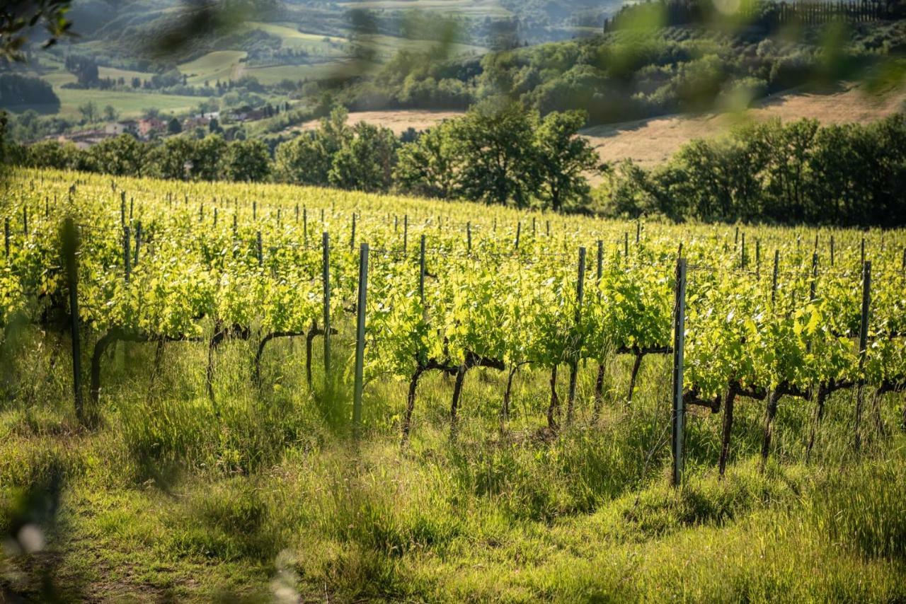 Agriturismo Casale Ugolini 몬테스페르톨리 외부 사진